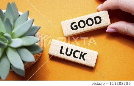 Good luck symbol. Wooden blocks with words Good luck. Beautiful orange background with succulent plant. Businessman hand. Business and Good luck concept. Copy space. Good luck symbol. Wooden blocks with words Good luck. Beautiful orange background with succulent plant. Businessman hand. Business and Good luck concept. Copy space. 111888289