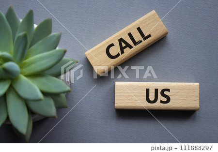 Call Us symbol. Wooden blocks with words Call Us. Beautiful grey background with succulent plant. Business and Call Us concept. Copy space. 111888297