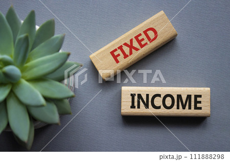 Fixed Income symbol. Concept word Fixed Income on wooden blocks. Beautiful grey background with succulent plant. Business and Fixed Income concept. Copy space 111888298