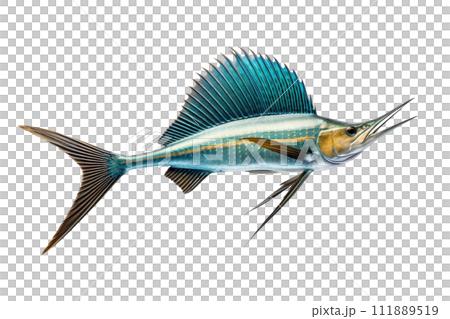 Image of a sailfish isolated on white background. Fresh fish. Underwater animals. Generative AI. Image of a sailfish isolated on white background. Fresh fish. Underwater animals. Generative AI. 111889519