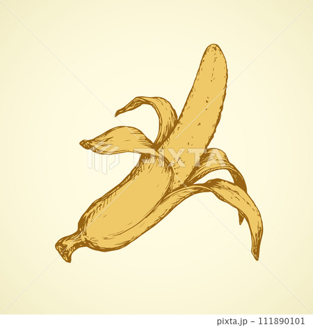 Banana. Vector drawing 111890101