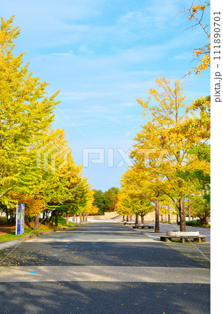 新潟県立スポーツ公園の紅葉（新潟県） 111890701