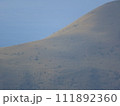 八丈小島大平山の裾野 111892360