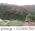 八丈島山頂から火口を望む 111892760