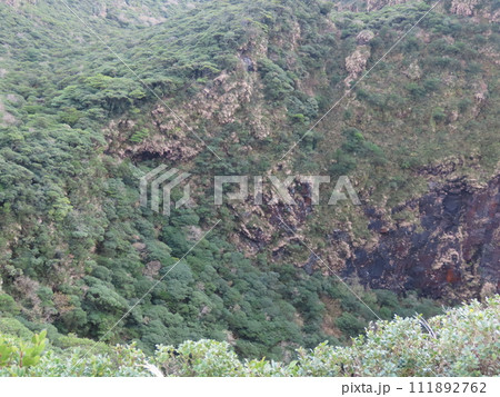 八丈島山頂から見える噴火口 111892762