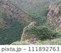 八丈島山頂から火口の深淵を望む 111892763