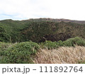 八丈島お鉢巡りトレッキング 111892764