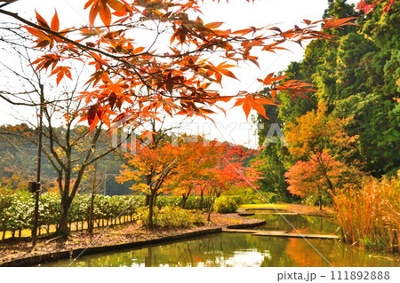 酒呑童子神社前の公園（新潟県） 111892888