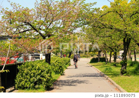 桜之宮公園の桜並木を疾走するサイクリングカー 111893075
