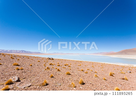 Bolivian lagoon landscape,Bolivia Bolivian lagoon landscape,Bolivia 111893265