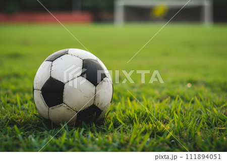 Football Resting on Vibrant Grass Football Resting on Vibrant Grass 111894051