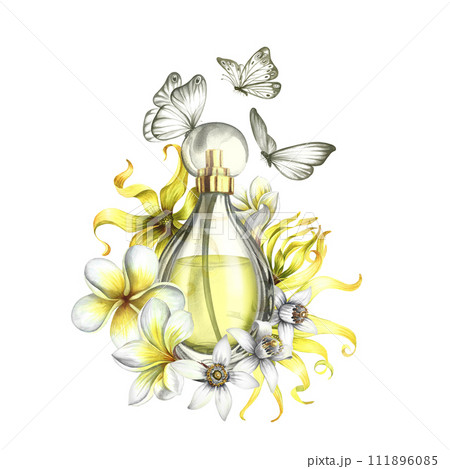 A perfume bottle made of transparent glass with flowers of plumeria, frangipani, orange blossom and ylang-ylang. Vintage yellow perfume with butterflies. Hand-drawn watercolor illustration. A perfume bottle made of transparent glass with flowers of plumeria, frangipani, orange blossom and ylang-ylang. Vintage yellow perfume with butterflies. Hand-drawn watercolor illustration. 111896085