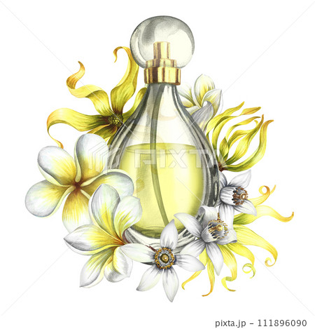 A transparent glass perfume bottle with plumeria, frangipani, orange blossom and ylang-ylang flowers. Vintage yellow perfume. Hand-drawn watercolor illustration. For packaging, postcards and labels. A transparent glass perfume bottle with plumeria, frangipani, orange blossom and ylang-ylang flowers. Vintage yellow perfume. Hand-drawn watercolor illustration. For packaging, postcards and labels. 111896090