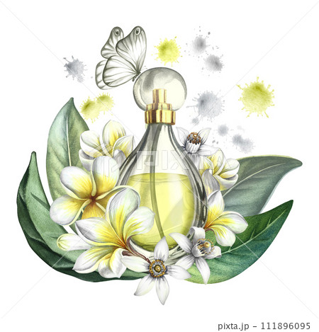 A perfume bottle made of transparent glass with plumeria, frangipani and orange blossom flowers. Vintage yellow perfume with a butterfly. Hand-drawn watercolor illustration. For packaging, postcards. A perfume bottle made of transparent glass with plumeria, frangipani and orange blossom flowers. Vintage yellow perfume with a butterfly. Hand-drawn watercolor illustration. For packaging, postcards. 111896095