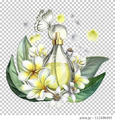 A perfume bottle made of transparent glass with plumeria, frangipani and orange blossom flowers. Vintage yellow perfume with a butterfly. Hand-drawn watercolor illustration. For packaging, postcards. A perfume bottle made of transparent glass with plumeria, frangipani and orange blossom flowers. Vintage yellow perfume with a butterfly. Hand-drawn watercolor illustration. For packaging, postcards. 111896095