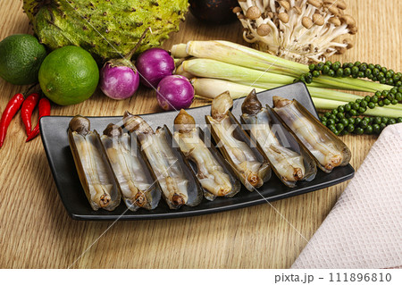 Raw fresh Razor clam mollusk Raw fresh Razor clam mollusk 111896810