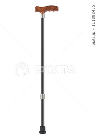 Walking Stick, 3D rendering Walking Stick, 3D rendering 111898435