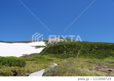白山弥陀ヶ原と御前峰 111898729
