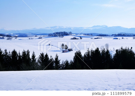 北海道 美瑛 新栄の丘からの雪景色 北海道 美瑛 新栄の丘からの雪景色 111899579