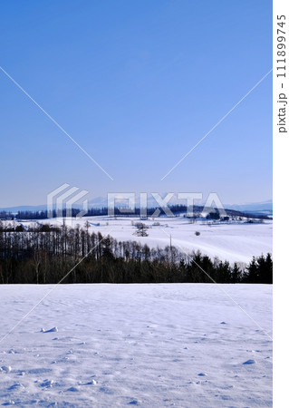 北海道 美瑛 新栄の丘からの雪景色 111899745