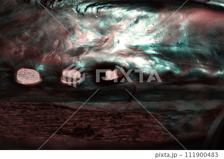 ミクロの美しさ ミクロの美しさ 111900483