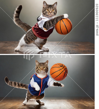 バスケットボールをする猫（2画像）｜著作権問題クリアadobeAI生成画像を編集 111900920