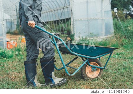 vegetable field vegetable field 111901349