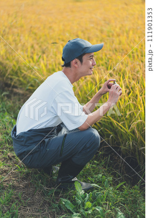 rice farming 111901353