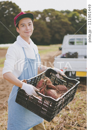 vegetable field 111901449