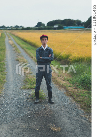 rice farming 111901465