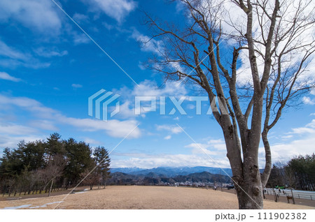 アルプス展望公園「スカイパーク」から高山市街地・飛騨山脈を望む 111902382