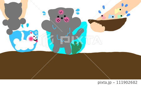 水槽で遊ぶネコちゃんたち 111902682