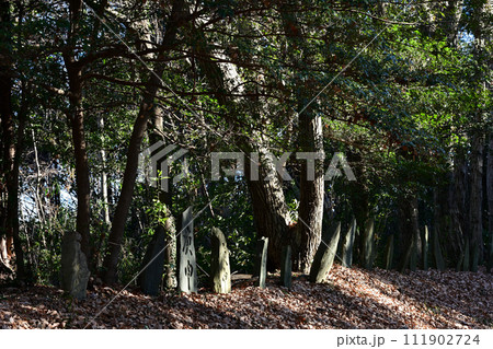 百庚申(埼玉県小川町大字青山) 百庚申(埼玉県小川町大字青山) 111902724