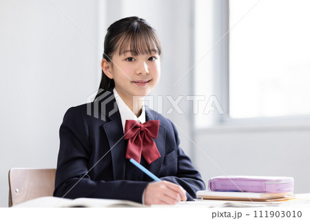 勉強する女子中学生 勉強する女子中学生 111903010