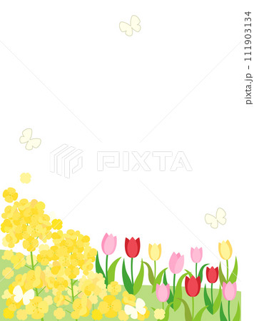 菜の花とチューリップの春の丘のカード　縦型バージョン 111903134