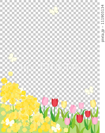 Spring hill card with rape blossoms and tulips - vertical version 111903134