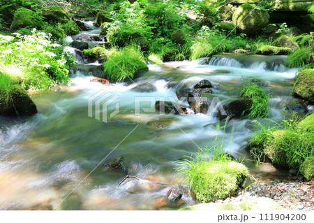 木谷沢渓流のせせらぎ 木谷沢渓流のせせらぎ 111904200