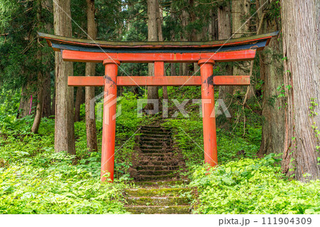 赤鳥居～山の上にある神社～ 111904309