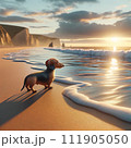 夕暮れの海辺を眺める犬 111905050