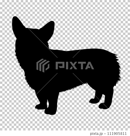 Corgi silhouette_vector illustration 111905811