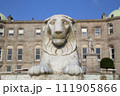 Lion at Powerscourt Estate and Garden in Dublin, Ireland  111905866