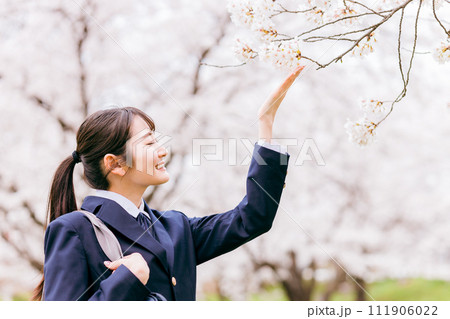 桜の中を歩く中学生・高校生・女子高生・女子高校生 111906022
