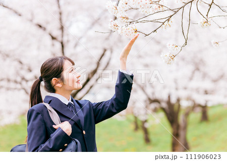 桜の中を歩く中学生・高校生・女子高生・女子高校生 桜の中を歩く中学生・高校生・女子高生・女子高校生 111906023