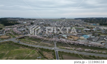 春色満開 - 南相馬市小高区の小田川の桜並木空撮 111906118
