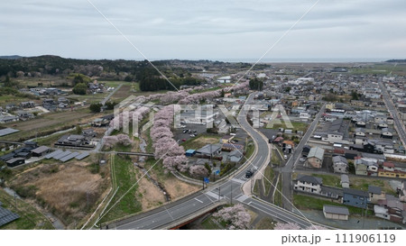 春色満開 - 南相馬市小高区の小田川の桜並木空撮 111906119
