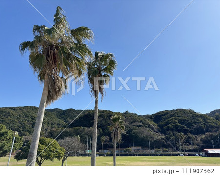 天草市宇土マリーナ芝生公園 111907362