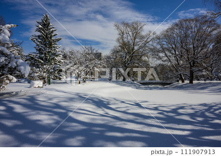 新雪の中島公園_4584 新雪の中島公園_4584 111907913
