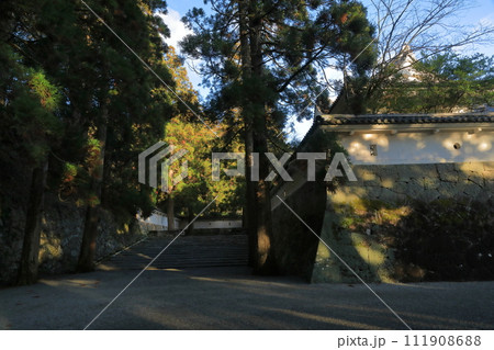 日南市飫肥城跡のしあわせ杉の風景 日南市飫肥城跡のしあわせ杉の風景 111908688