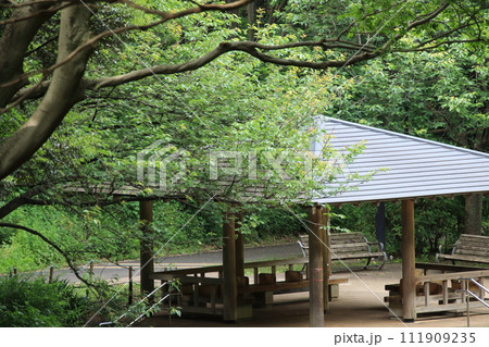 四阿のある風景　【千葉県千葉市花鳥公園にて】 111909235