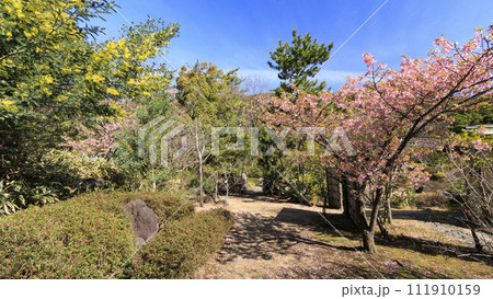 葉山しおさい公園(冬) 葉山しおさい公園(冬) 111910159